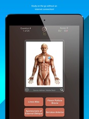 Anatomist – Anatomy Quiz Game