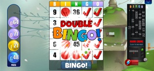 Bingo! Absolute Bingo Games