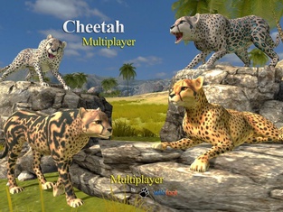 Cheetah Multiplayer