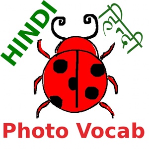 Hindi Vocab Photo : Sight Words from Pictures