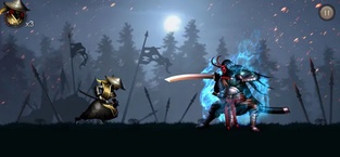 Ninja warrior: Shadow fight