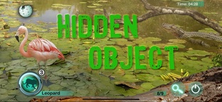 Hidden Object Games - Animals
