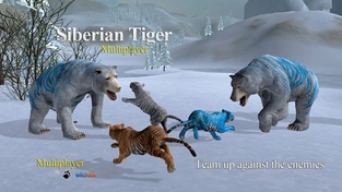 Tiger Multiplayer - Siberia