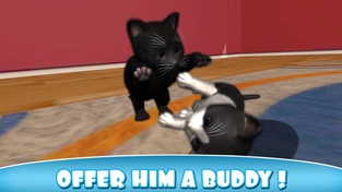 Daily Kitten : virtual cat pet