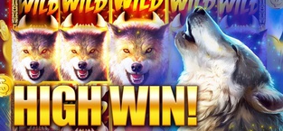 Wolf Slots Jackpot Casino ™