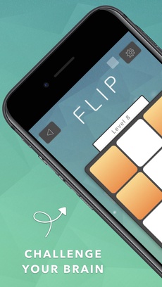 FLIP: A Puzzle Game