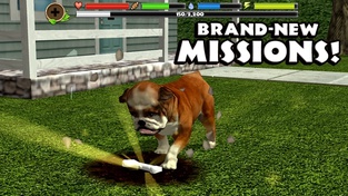 Stray Dog Simulator