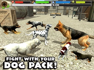 Stray Dog Simulator