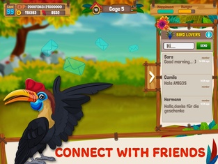 Bird Land: Pet Simulation Game