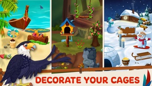 Bird Land: Pet Simulation Game