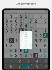 Sudoku ″