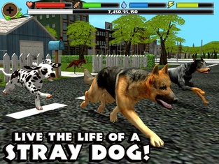 Stray Dog Simulator