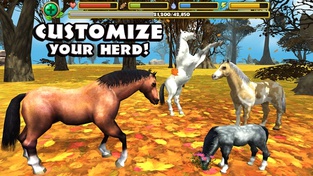 Wild Horse Simulator