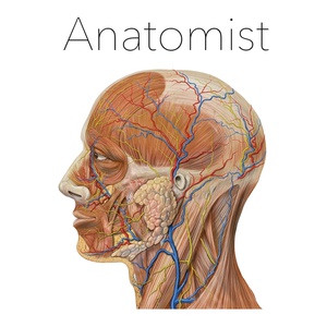Anatomist – Anatomy Quiz Game