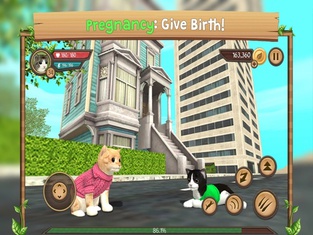 Cat Sim Online: Play With Cats
