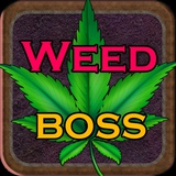 Weed Boss - Idle Ganja Tycoon