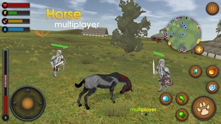 Horse Multiplayer