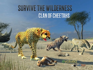 Clan Of Cheetahs