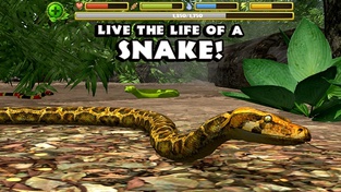 Snake Simulator