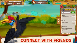 Bird Land: Pet Simulation Game