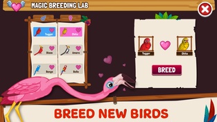 Bird Land: Pet Simulation Game