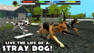 Stray Dog Simulator