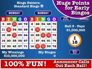 Totally Bingo!