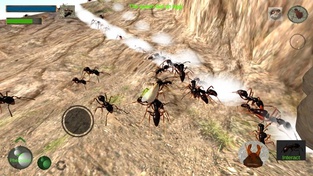 Ant Simulation 3D
