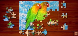 Jigsaw Puzzles⁺