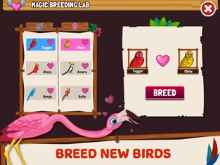 Bird Land: Pet Simulation Game