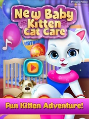 New Baby Kitten Cat Care