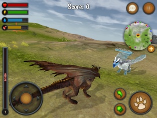 Dragon Multiplayer 3D