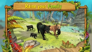 Panther Family Sim : Jungle