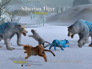 Tiger Multiplayer - Siberia