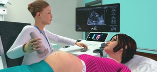 Pregnant Mom & Baby Simulator