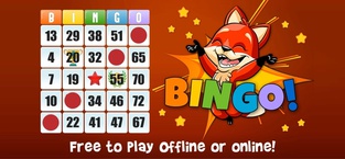 Bingo! Absolute Bingo Games