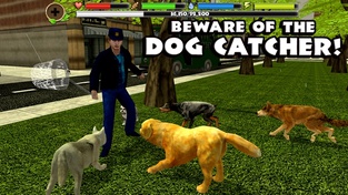 Stray Dog Simulator