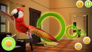 Virtual Home Pet - Parrot Sim