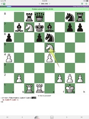 Chess King (Tactics & Puzzles)