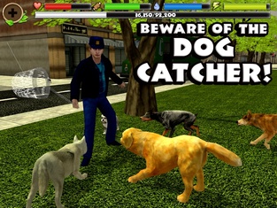 Stray Dog Simulator