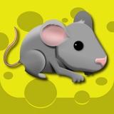 Rodent Rush - Puzzle Challenge Cheese Chips