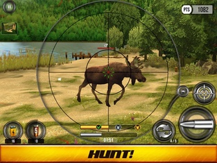 Wild Hunt: Охота на животных