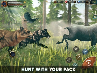 Wolf Tales - Online RPG Sim