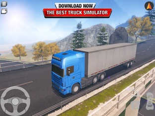 Cargo Delivery Truck Driver 18