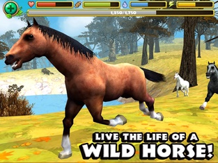 Wild Horse Simulator
