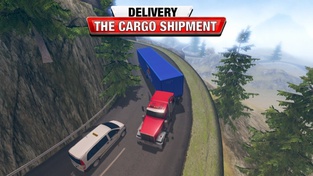 Cargo Delivery Truck Driver 18