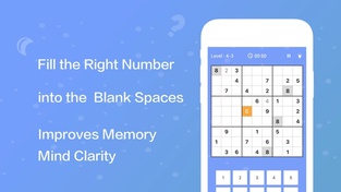 Crazy Sudoku - puzzle games