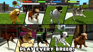 Stray Dog Simulator