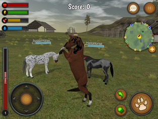 Horse Multiplayer