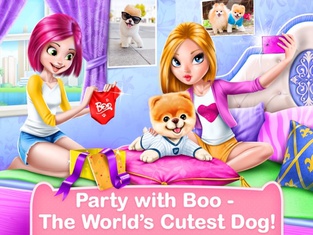 Boo - World's Cutest Dog Game
